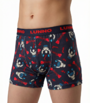 Boys' Patterned Boxer - Image 4